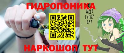 дживик Кандалакша