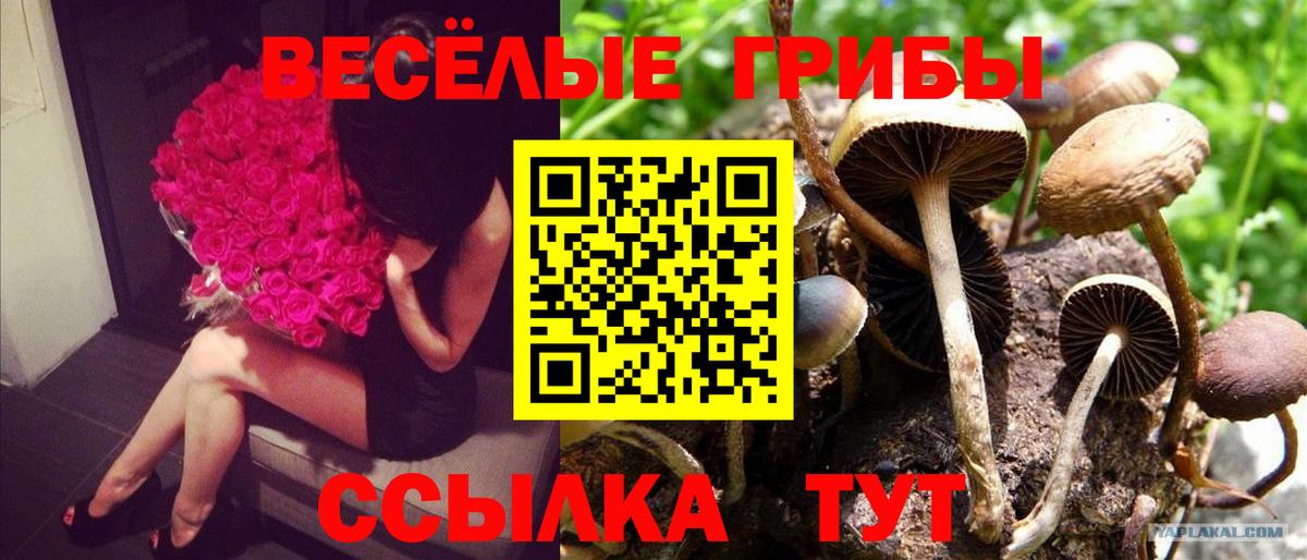 Галлюциногенные грибы Magic Shrooms Кузнецк