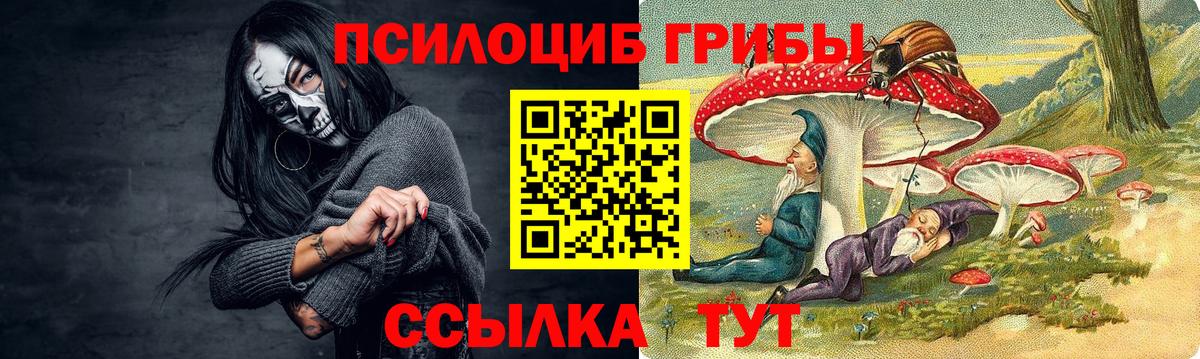 Псилоцибиновые грибы мицелий  Вход с VPN  Кузнецк  Псилоцибиновые грибы Magic Shrooms 