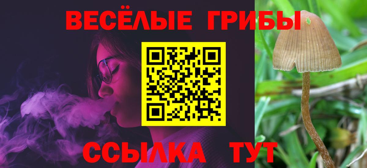 Псилоцибиновые грибы Magic Shrooms Кузнецк