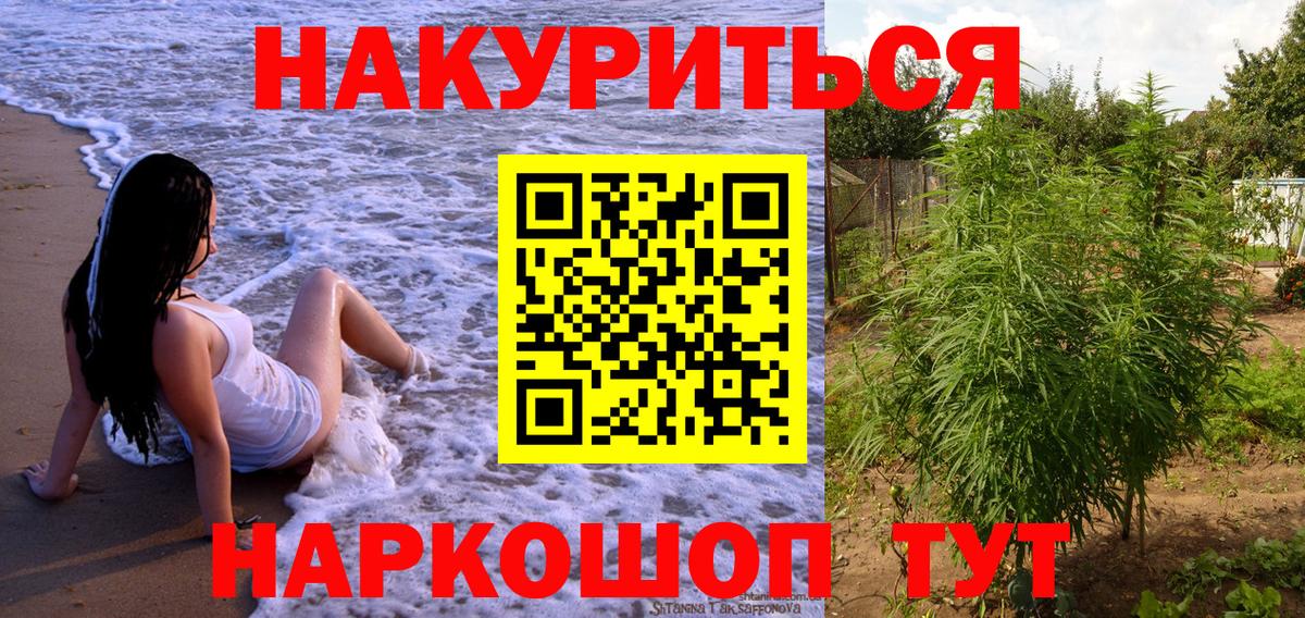 Бошки Шишки планчик Кузнецк